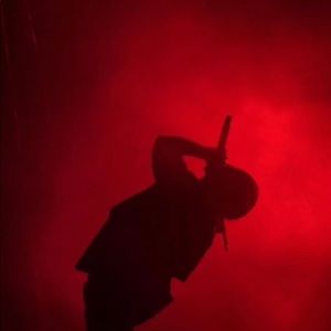 Meet your Posher, Carter